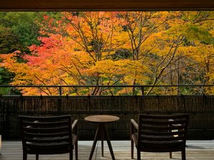 ɍہ@@@~Oi傤낤j̎{ݎʐ^1