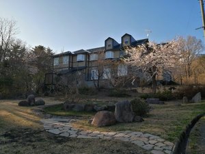 �X�̒��̏����ȉB��h�@���F�����[�k�̎ʐ^