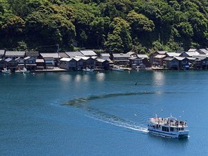 �y�ɍ��p�߂���V���D�z�D����ɍ��̏M���̕�����i���i���ق��ԂŖ�50���j