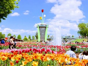 �ƂȂ݃`���[���b�v�t�F�A�i���N4�����{�`5��5���ɊJ�Áj�A�p�z�e������k��20���y�摜�񋟁F�v�g�s�z