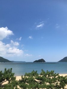 お部屋からの景色
