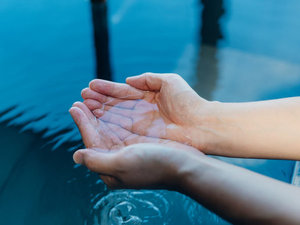 �����C���[�W�i�򎿁F��������ׁ̈A�M��������Ǝv���܂��̂ŁA�|�����𑽂߂ɂ��ꂲ�����������j