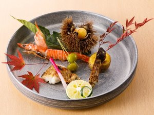 �H�̔����B����k���̏{�̖��o����M��