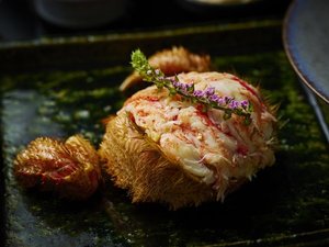 【料理】夕食 極み会席「数奇」