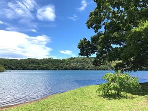 【一碧湖:車で15分】伊豆の瞳と呼ばれる澄んだ湖。ボートを漕いだり、湖畔でピクニックしたり。