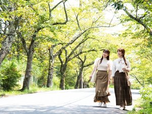 【桜並木:徒歩1分】伊豆高原駅からアヴォンリーまでずっと続く並木道。散歩におすすめ。