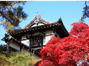 千秋公園※画像提供:秋田市