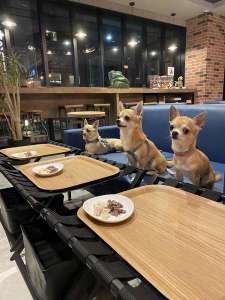 ��񂿂��E�F���J���z�e���Ƃ��ă��u�����hOPEN��