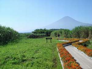 当館からハーブ公園まで徒歩3分の花街道。富士山と湖が一望!