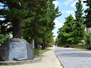 �y���������z�����̂ق����̕��i�A600�{�ȏ�̏����؂����т܂��B
