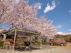 �t�̃R�����o�P