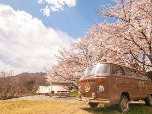 �t�̃R�����o�Q