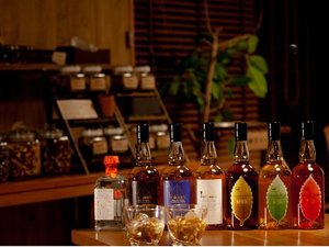 ��ʌ��Y�E�C�X�L�[�b�C�`���[�Y�����g6����̔���