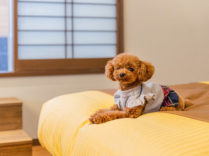 愛犬と同室でお過ごしいただけます。