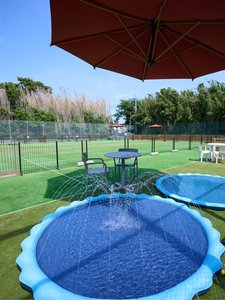 夏季限定!ドッグプールをご用意