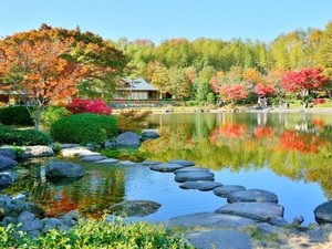 【当館から徒歩約20分】四季折々の花や紅葉、バーベキューが楽しめる「国営昭和記念公園」