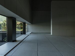 �O���u���� ���O�C�v�́A�C�ւƑ����C���t�B�j�e�B�o�X�ƃp�m���}�̌i�F�A�قȂ�2�̃^�C�v�̗�������p��