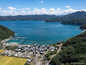 ���[�W��