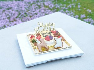 わんちゃん用ケーキ