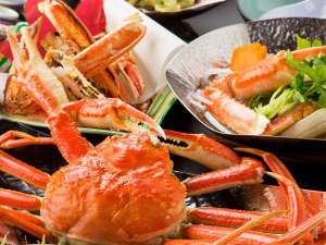 ̉Bh@y@YURAKU̎{ݎʐ^1