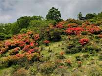 赤城山周辺宿からの現地情報 3ページ目 じゃらんnet 赤城山周辺宿からの現地情報 3ページ目 じゃらんnet