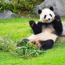 アドベンチャーワールド周辺宿からの現地情報 じゃらんnet