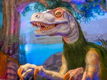 �ςȃz�e�����@�S�֋��̊O�ώʐ^