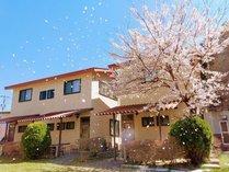 �ݕʑ��@���s�i�X�͌��΂̎{�ݎʐ^3