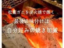 ف@B@r̎{ݎʐ^2