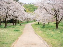 �d�����i�v�����X�z�e���Y�����]�[�c�j�̎{�ݎʐ^2