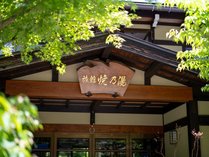 ���ف@�ĔT���i�₯�̂�j�̊O�ώʐ^