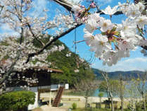 �y���V�������������̎{�ݎʐ^3