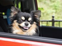 ����X�J�C�z�e���̎{�ݎʐ^3