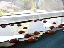 �����@�z���z���R���̎{�ݎʐ^2