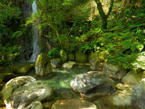 yꔑHvzHrbtF猳CIVCɖӂƓ͌̃C[W摜