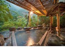 �ޘO�t�̊O�ώʐ^