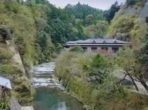 �k�J�ʒ�@�����̖؂̎ʐ^