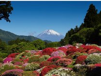 ���c�} �R�̃z�e���̎{�ݎʐ^3