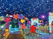 �R�R�e���X�̎{�ݎʐ^2