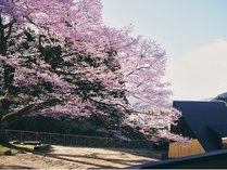 KOKAGE VILLA NIKKO̊Oώʐ^