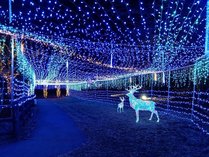 �R�������R�e�[�W�@�܂ف[�΂̐X�̎{�ݎʐ^2