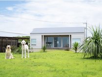 �h�b�O�R�e�[�W�C�̉��̎{�ݎʐ^2