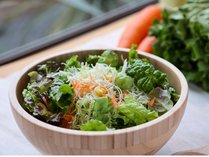 �G�N�Z���C�����É��M�c�̎{�ݎʐ^3