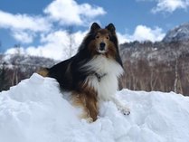 uꍂ@̏h@K̓@̎{ݎʐ^2