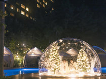 �t�F�j�b�N�X�E�V�[�K�C�A�E�I�[�V�����E�^���[�̎{�ݎʐ^2