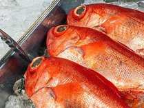 �y����3�g�z�g���Ə��Ď��Ŗ��키�ґ�[�H�v�����̃C���[�W�摜