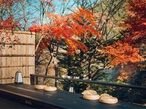 샊][g@E Hۂ̎{ݎʐ^3