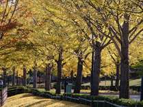 ̌邨ĂȂ@k̂h@͐rق̎{ݎʐ^2