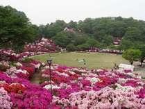 ��̌����邨���ĂȂ��@�k������̂����������h�@�͐r���ق̎{�ݎʐ^2