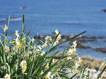 �ݕʑ��@�ѓc�̊O�ώʐ^